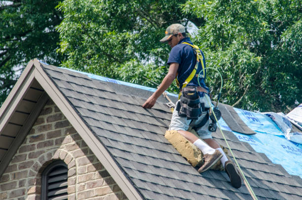 Best Roof Waterproofing Services  in Flomaton, AL